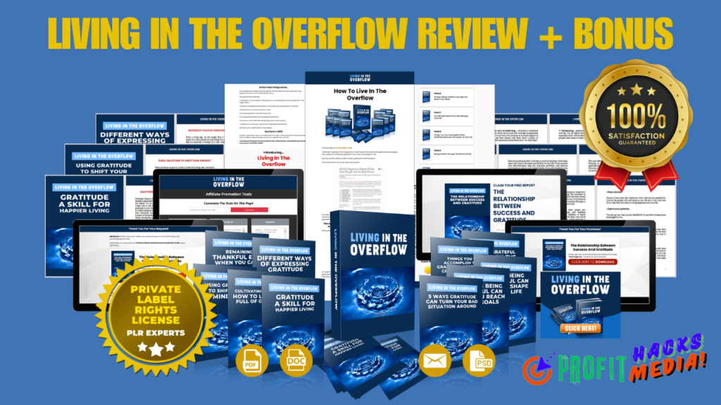 Living In The Overflow Review: Transform Your Business with This Done-for-You Coaching Program